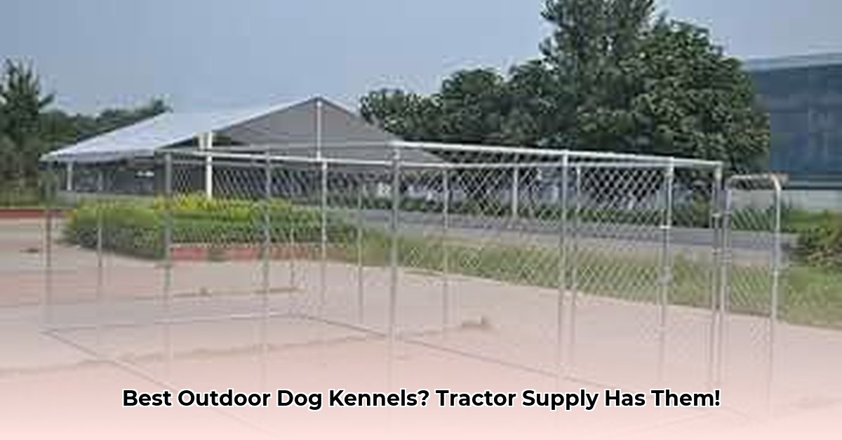 outdoor-dog-kennels-tractor-supply